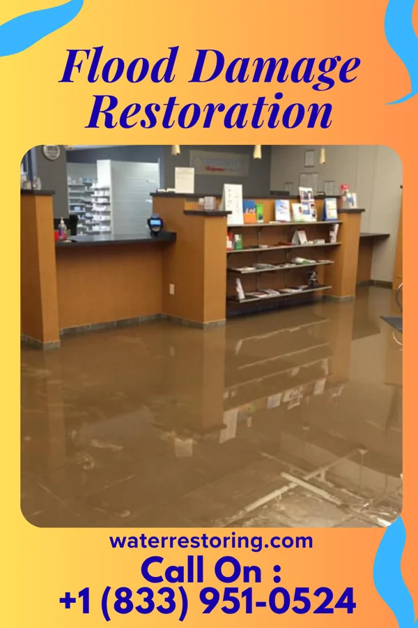 Flood Damage Restoration in Electra, TX